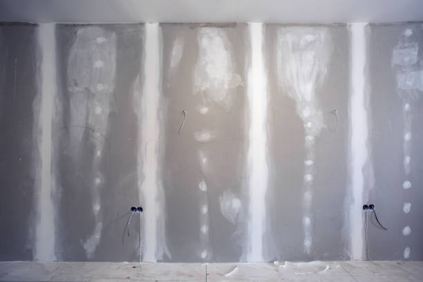 Best Drywall Removal and Disposal  in Wolfe City, TX